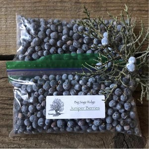 Westliche Wacholderbeeren ~ Frisch wild geerntet ~ Juniperus Occidentalis ~ Auf Bestellung gepflückt ~ 1 Tasse