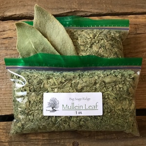 Organic Mullein Leaf (Verbascum Thapsus) 1 oz bag