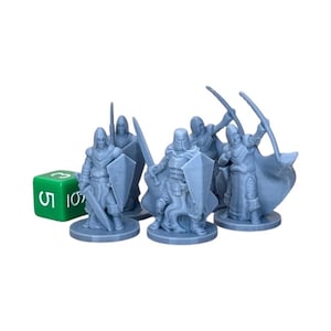 May include: Five gray plastic miniature figures of fantasy warriors, each holding a sword and shield. The figures are standing on round bases. A green six-sided die with white numbers is in the foreground.