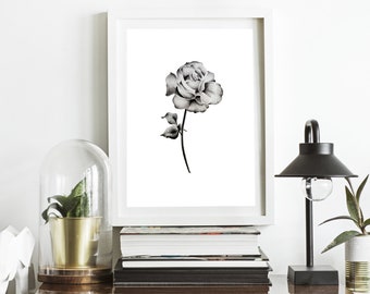 Rose noir et blanc impression rose Vintage poster, dessiné à la main rose, imprimable de rose décoration murale