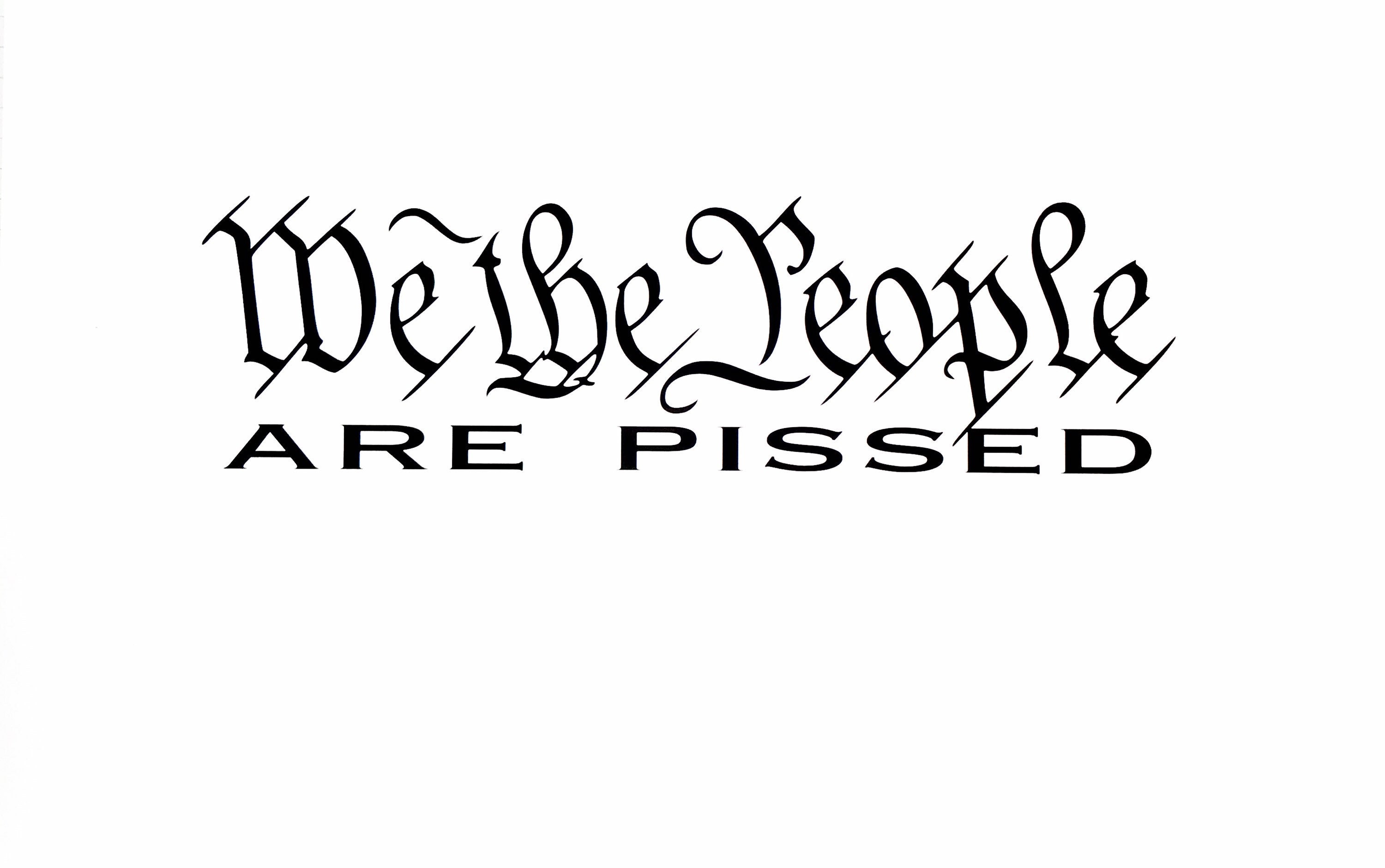 We the people are pissed decal | Etsy