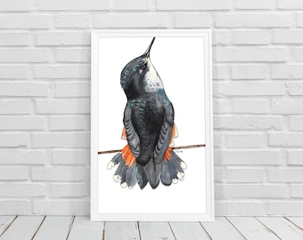 Hummingbird Watercolor Print | Animal Illustration | Home Decor | Instant Digital Download | Printable Wall Art