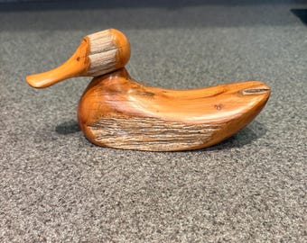 Mallard Duck by Dave Hughes