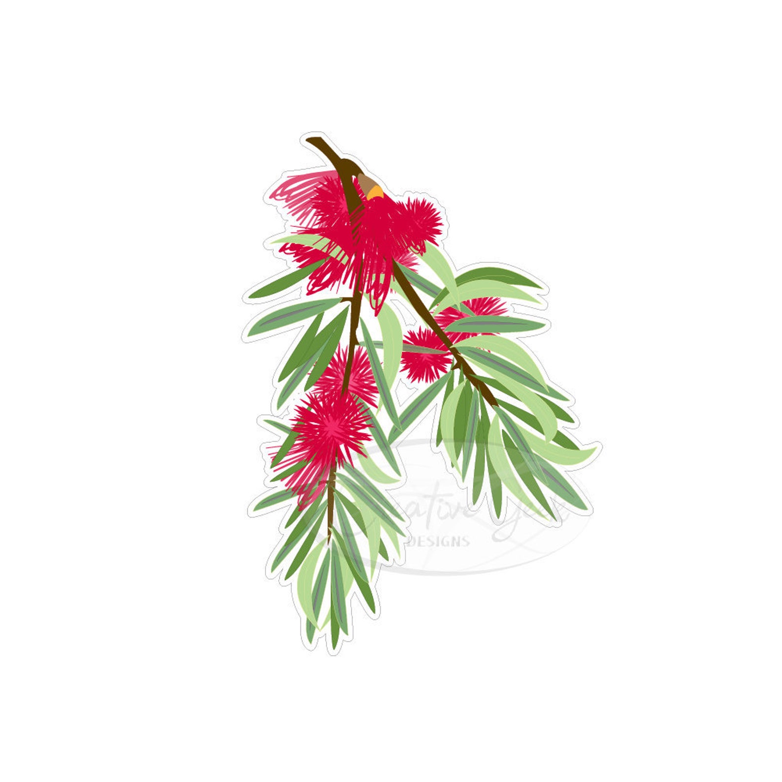 Australian Bottle Brush Digital Downloads SVG Christmas Bottle Brush