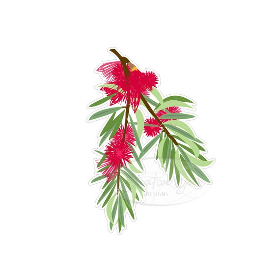 Download Australian Bottle Brush Digital Downloads Svg Christmas Etsy