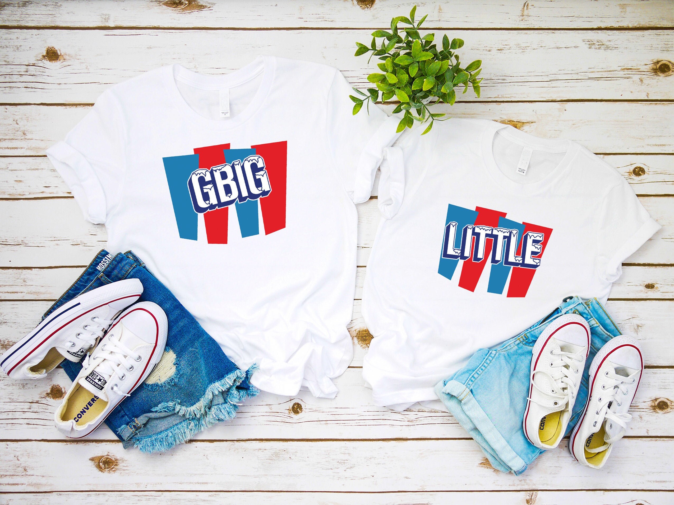 Big Little College Sorority shirts,ICE sister sorority reveal shirts,Greek shirt, Little sister, Big Sister, Big Little shirt, GBig GGBig S1
