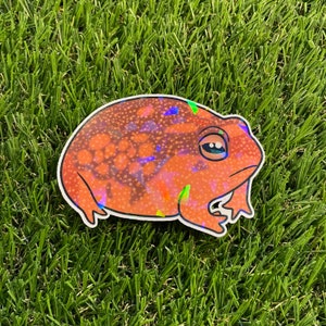 Desert Rain Frog Sticker - Holographic Stickers - Nature Inspired - Butt Frog - Screaming Frog - Cute Frog