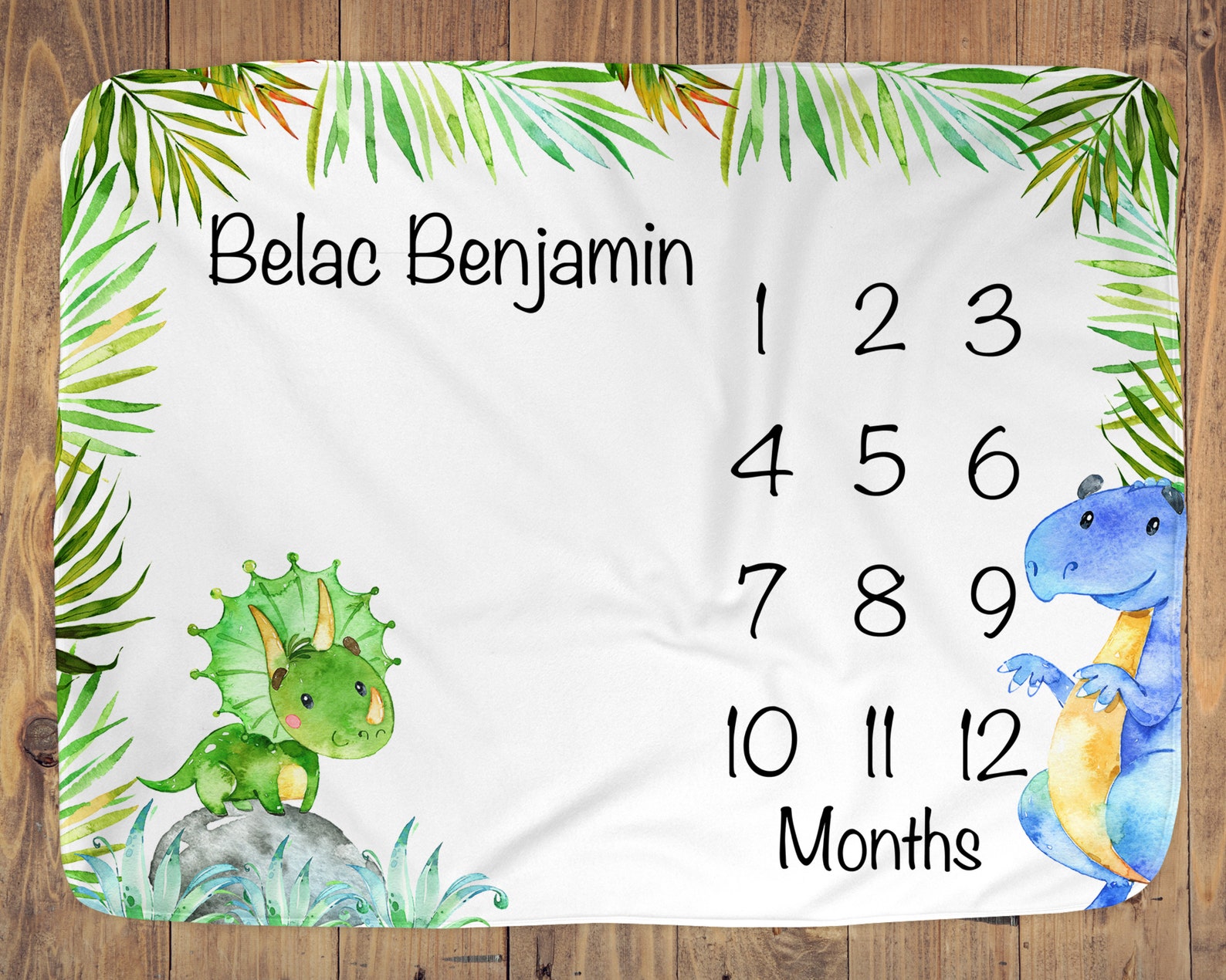 Dinosaur Baby Monthly Milestone Blanket Infant Month Blankets Etsy