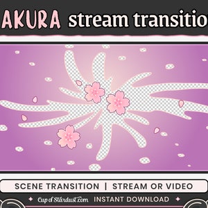 Sakura Stinger Transition | Purple + Pink | OBS Scene Transition | Twitch Stream / YouTube / Vtuber Asset Cherry Blossom Petals