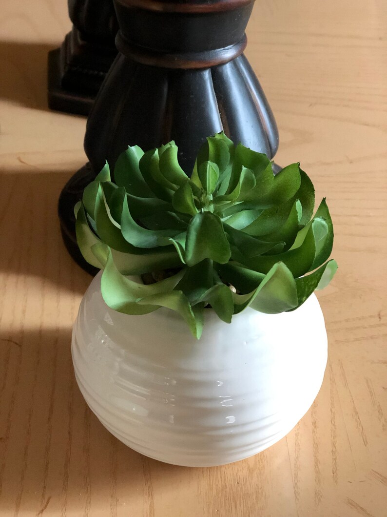 Succulentfaux Floral Arrangement W Modern White Round Vase Etsy