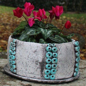 Op de afbeelding: Een witte keramische pot met een turquoise kralenontwerp, met een levendige roze cyclamenplant.