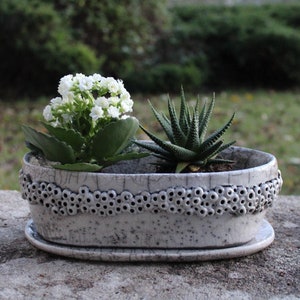 May include: A white ceramic planter with a textured rim and a matching saucer. The planter is filled with two plants, one with white flowers and the other with green leaves.