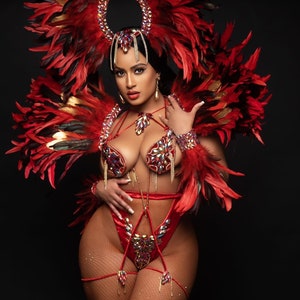 Customizable 8 Piece Customizable Hand-Made Carnival Masqueraders Costume (Phoenix)