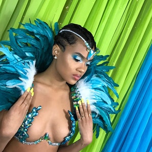 Customizable Carnival Sets- Wire Bra, Feather Shawl and Tiara (Nandy)