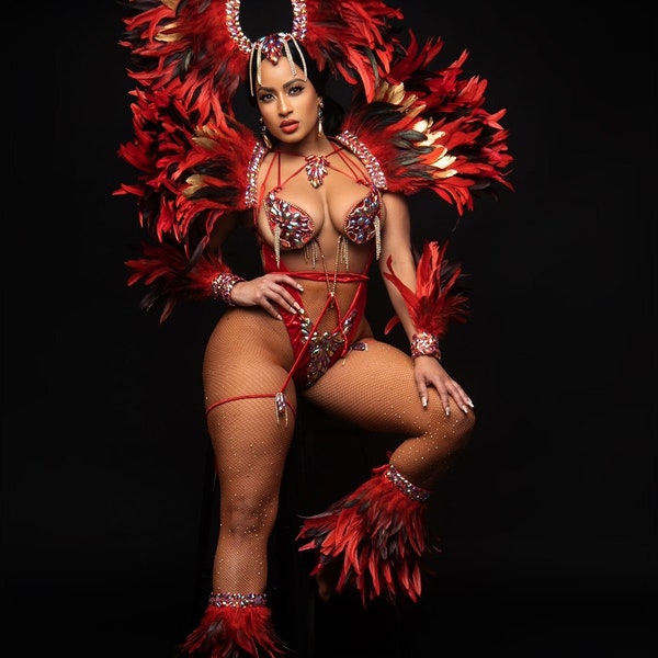 Customizable 8 Piece Customizable Hand-Made Carnival Masqueraders Costume (Phoenix)