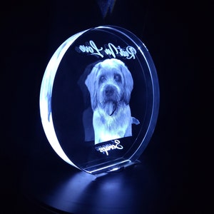 3D Photo Crystal Plaque: Personalized Pet or People Gift with LED Base image 3