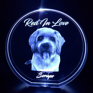 3D Photo Crystal Plaque: Personalized Pet or People Gift with LED Base image 1