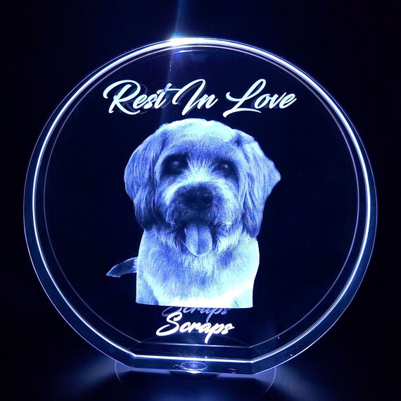 3D Photo Crystal Plaque: Personalized Pet or People Gift with LED Base