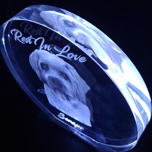 3D Photo Crystal Plaque: Personalized Pet or People Gift with LED Base image 5