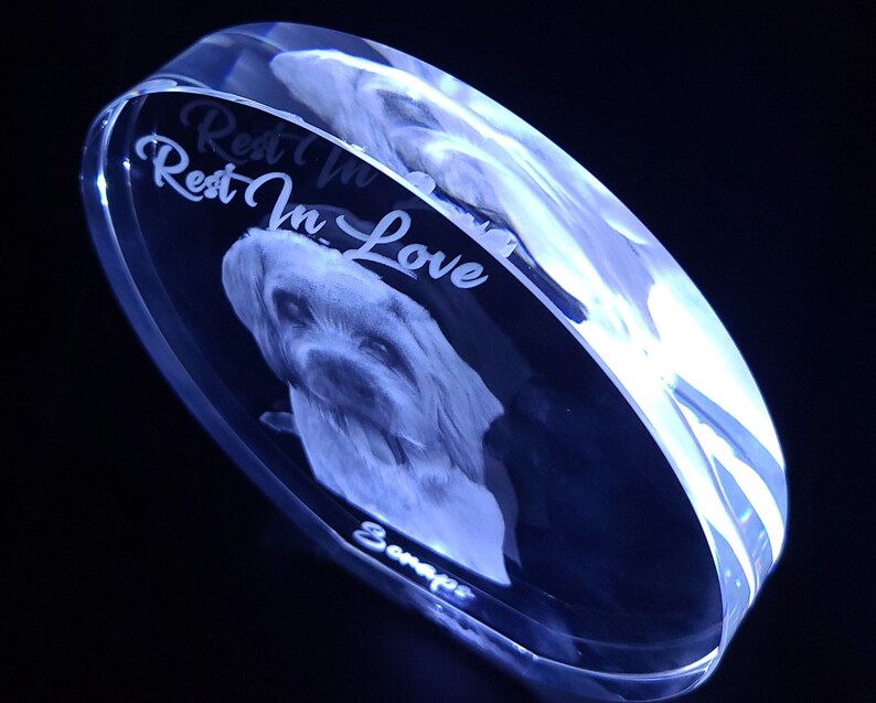 3D Photo Crystal Plaque: Personalized Pet or People Gift with LED Base image 5