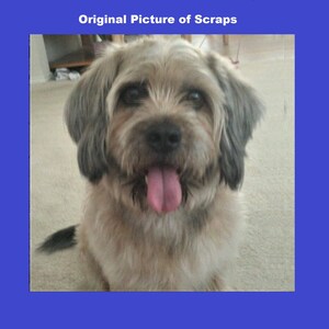 3D Photo Crystal Plaque: Personalized Pet or People Gift with LED Base image 6