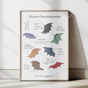 Fourth Wing Dragon Identification Class Notes Poster Minimal