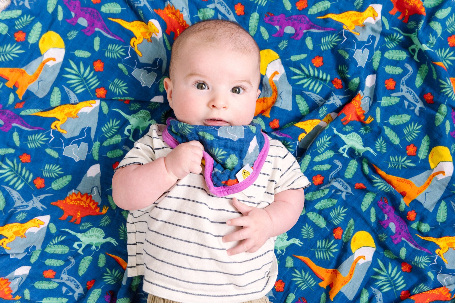 Rainbow Dinosaurs Baby Swaddle Blanket Bamboo Cotton Blend Etsy