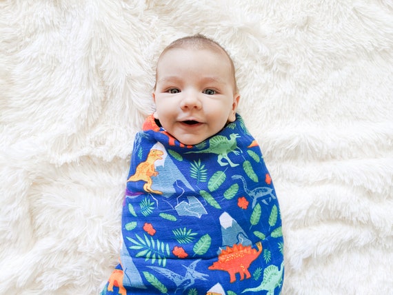 dino swaddle