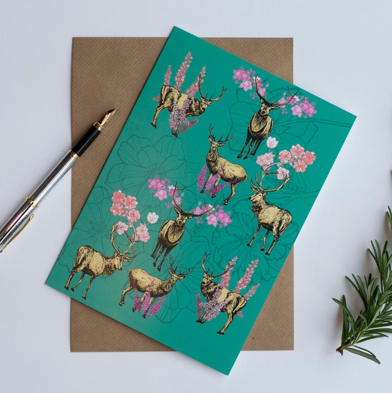 Set of Blank Greetings Cards Pack of 4 Mixed Animal Wildlife Etsy UK