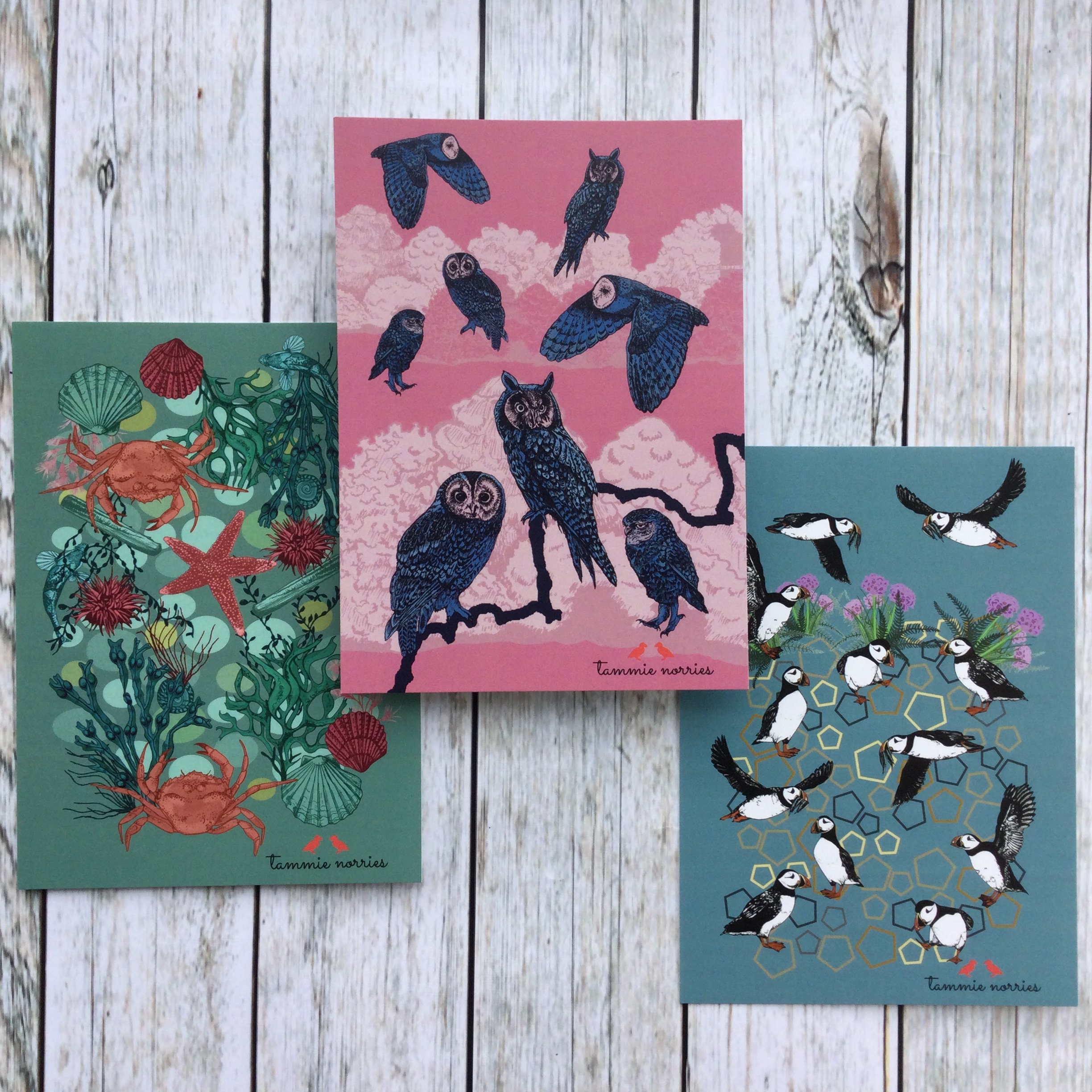 Set of Postcards 10 Postcards Pack of Animal Postcards Etsy UK