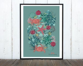 Rockpool Print, A4 Rockpool Illustration printed on Recycled paper, Beach Print, Seaside Art Digital Print, Seaside Drawing