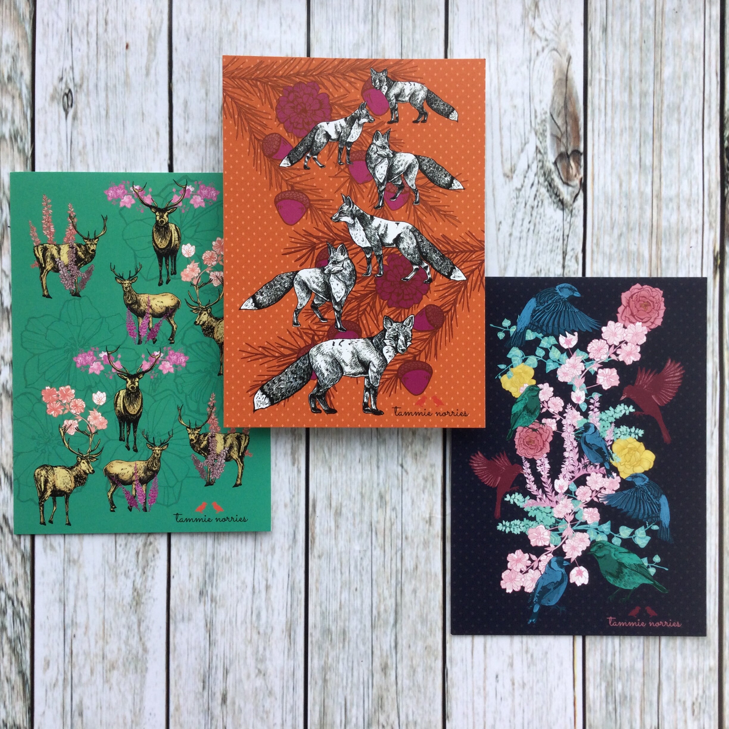 Set of Postcards 10 Postcards Pack of Animal Postcards Etsy