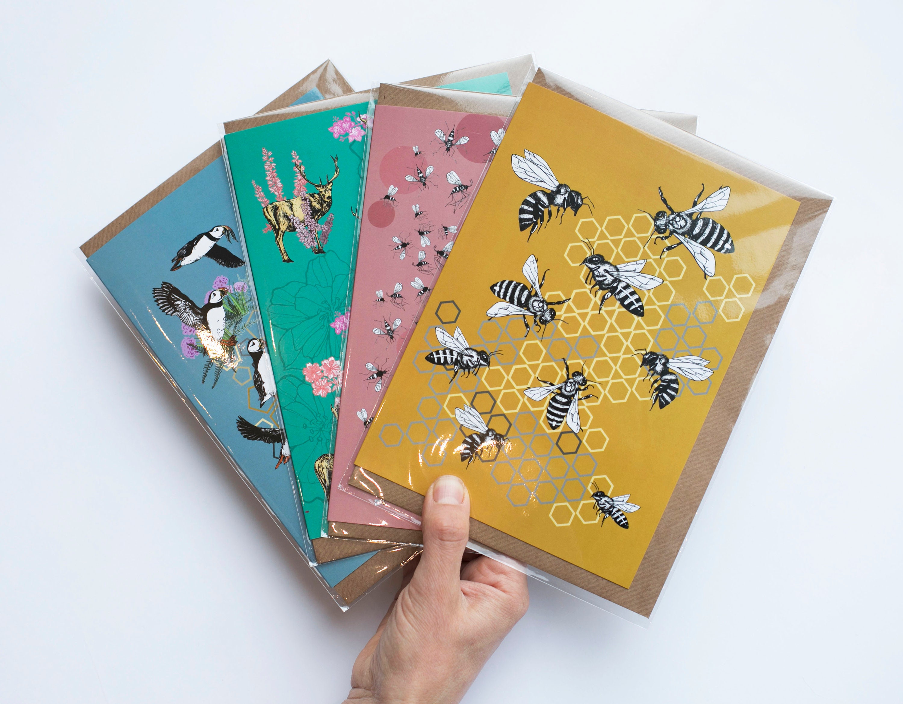 Set of Blank Greetings Cards Pack of 4 Mixed Animal Wildlife Etsy UK