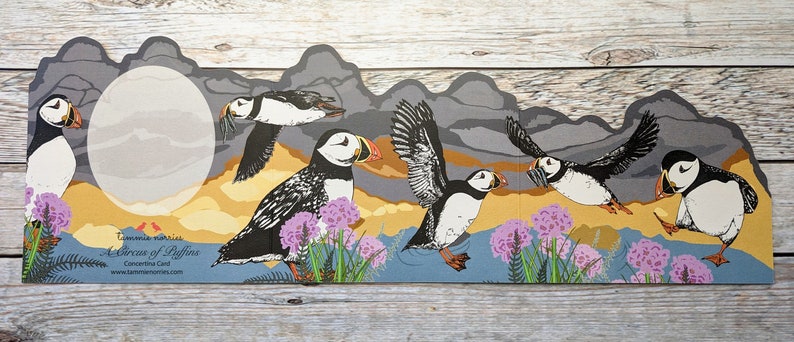 Concertina Puffin Card, Folded Puffin Double Sided Card, Wildlife Cut Paper Card UK, Set of Blank Cards image 3