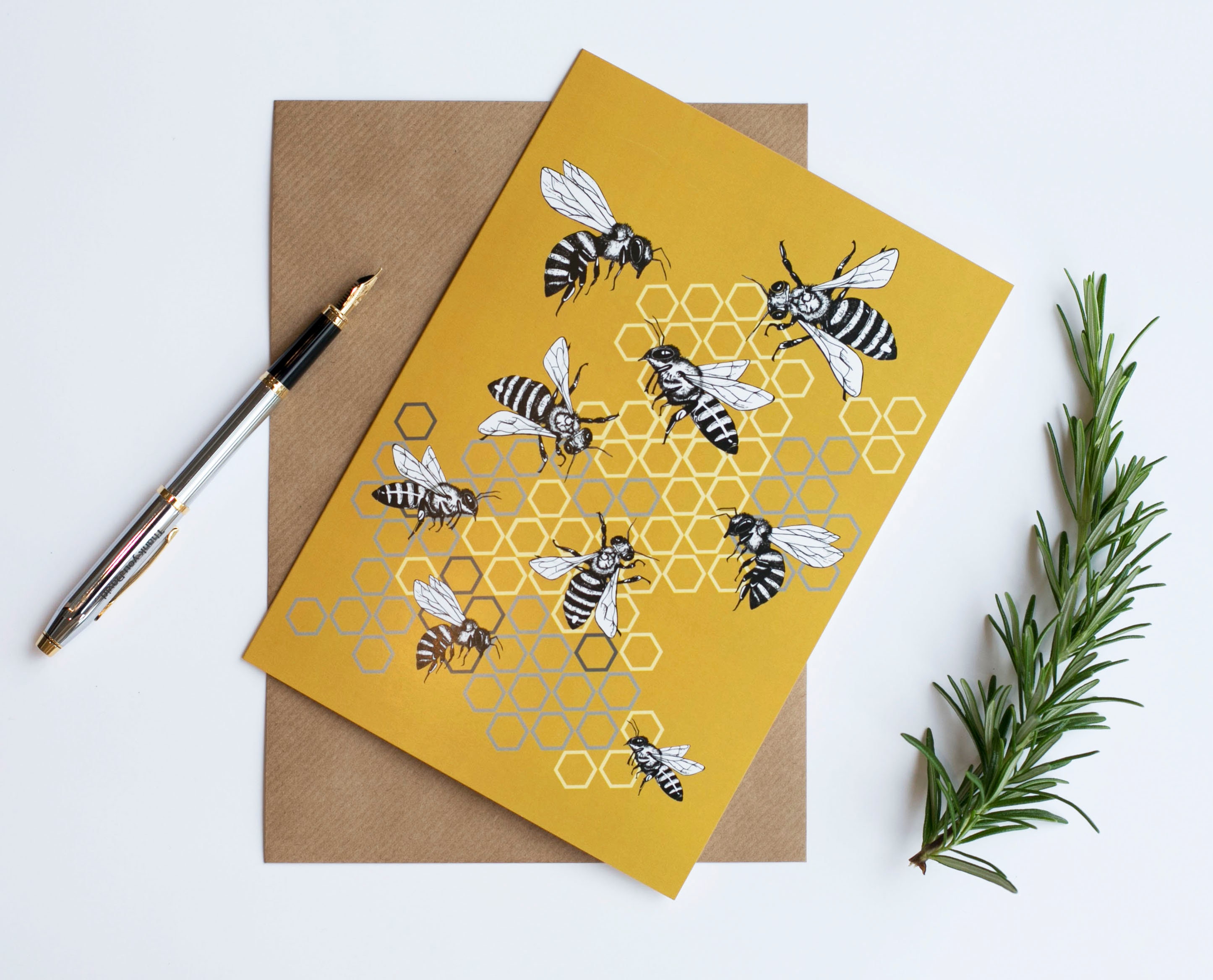 Set of Blank Greetings Cards Pack of 4 Mixed Animal Wildlife Etsy UK