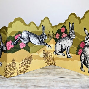 Concertina Card,  Easter Card, Hare Greetings Card, Fold out Card, Mix and Match Cards, Set of Blank Cards