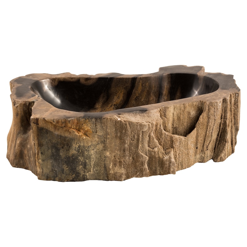 Petrified wood sink image 8