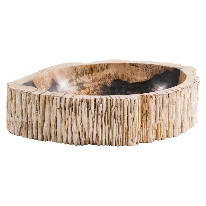 Petrified wood sink image 4
