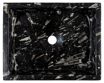 May include: Rectangular black sink with a white fossil pattern. The sink has a central drain hole and a smooth, polished surface. The fossil pattern is distributed throughout the sink's surface.