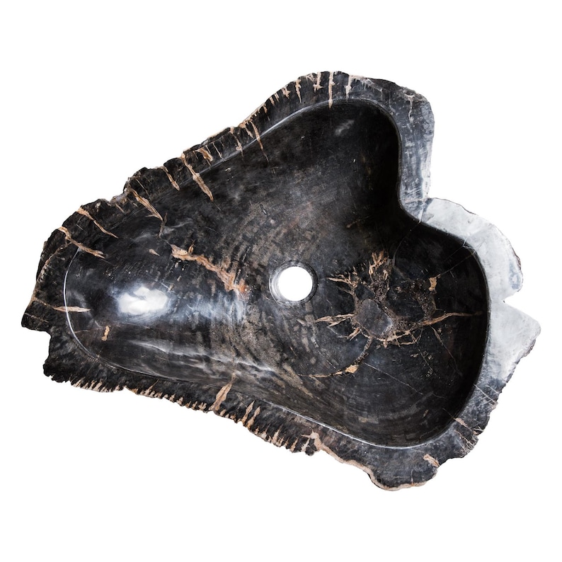 Petrified wood sink image 7