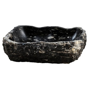 Fossil natural marble sink