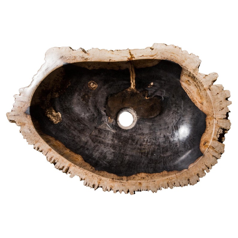 Petrified wood sink image 6