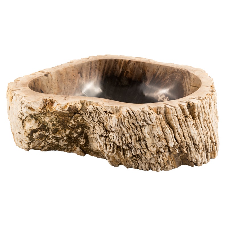 Petrified wood sink image 1