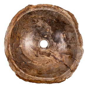 Petrified wood sink image 3