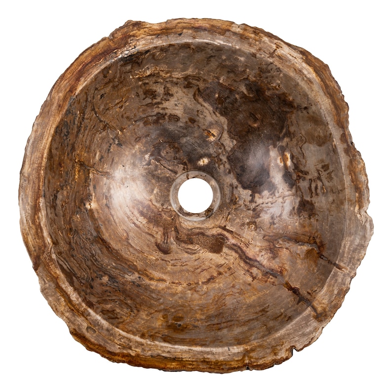 Petrified wood sink image 3