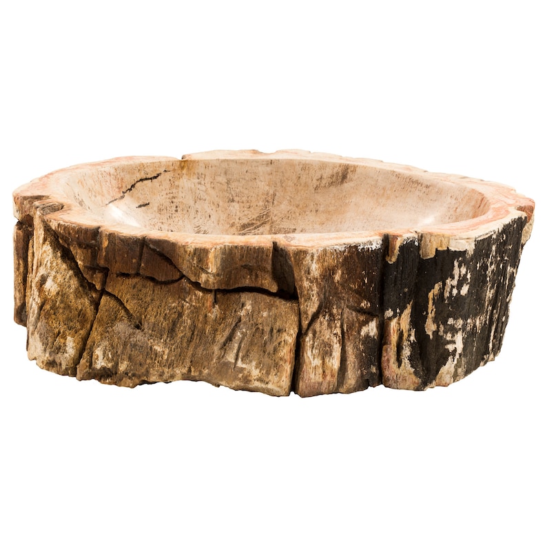 Petrified wood sink image 9