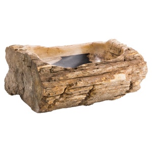 Petrified wood sink image 5