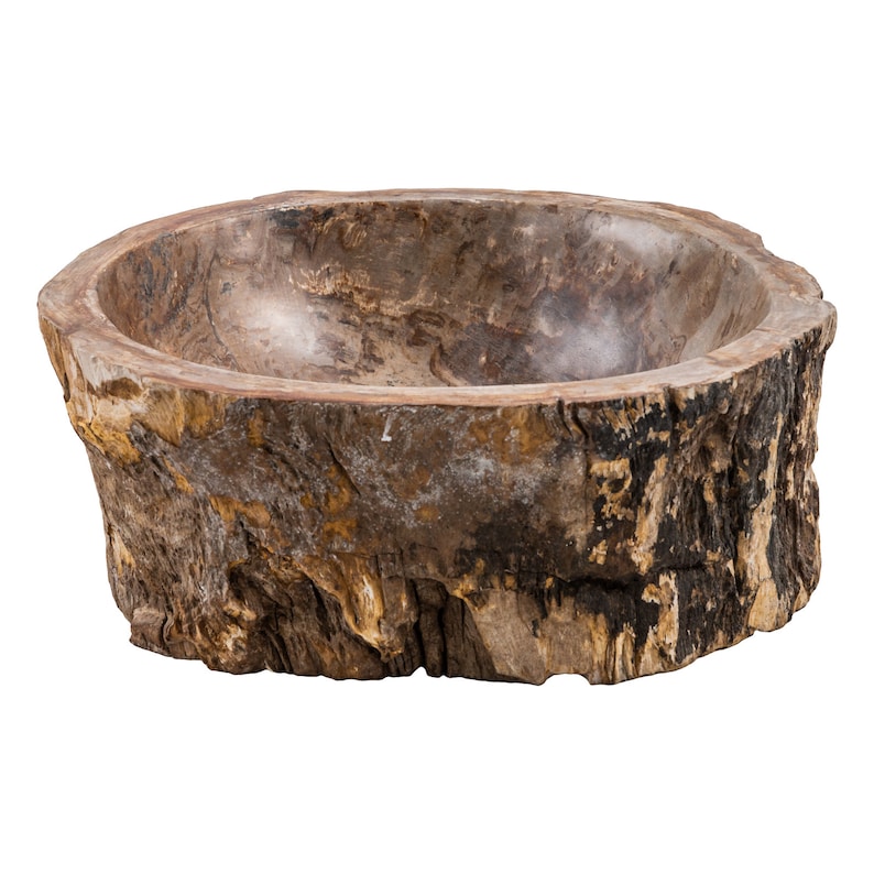 Petrified wood sink image 2