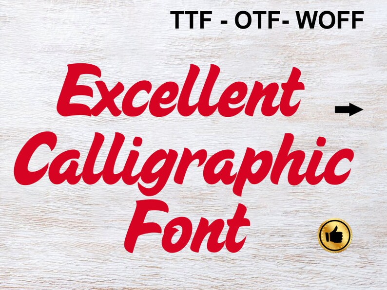 Silhouette Cameo font digital font Cricut font otf font Lettering TTF font WOFF font SVG font Installable font