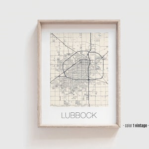 Lubbock Texas City Map Print: Modern Art Poster